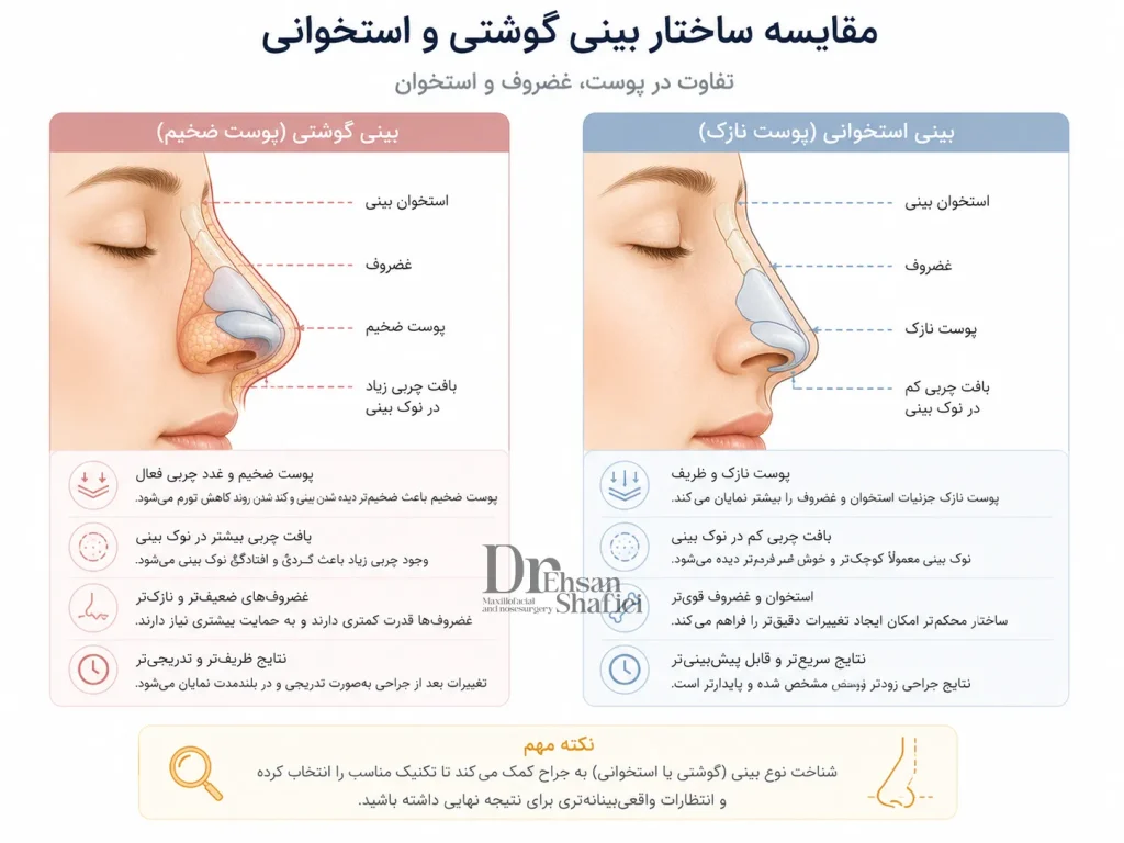مقایسه ساختار پوست و غضروف بینی گوشتی و استخوانی